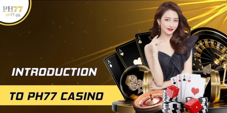 Hỗ trợ khách hàng 24/7 VIP66