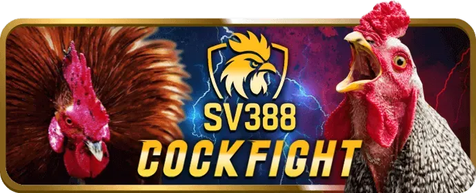 Khuyến mãi đá gà VIP66